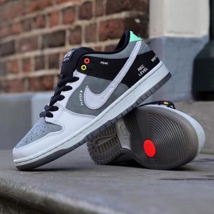NIKE SB DUNK LOW PRO ISO CAMCORDER