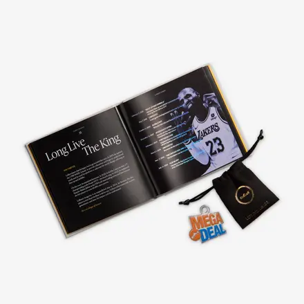 【海外6月1日発売予定】ナイキ レブロン 23 FK "シュー バッグ" セーフティ オレンジ/メタリック ゴールド/ウルフ グレー(IV5647-800)