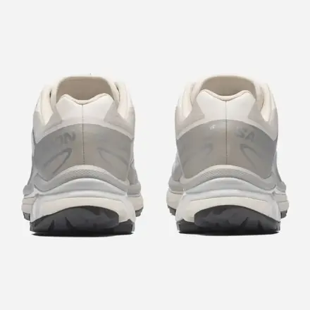 【国内4月1日発売予定】サロモン XT-6 レイニー デイ/パロマ/フットウェア シルバー(L47988000)