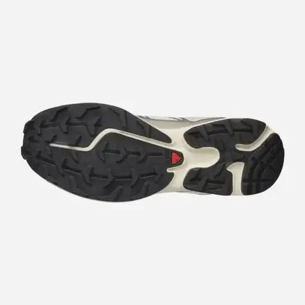 【国内4月1日発売予定】サロモン XT-6 レイニー デイ/パロマ/フットウェア シルバー(L47988000)