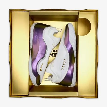 【国内4月10日発売予定】ナイキ レブロン 23 エリート "フォー・ザ・レコード" EP ホワイト/ホワイト/ブラック(IB9558-100)