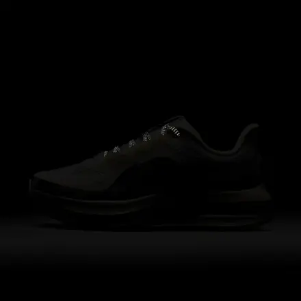 【海外6月1日発売予定】ナイキ ウィメンズ ペガサス プレミアム SE ファントム/アンスラサイト/メタリック シルバー/ペンシル ポイント(IO8232-002)