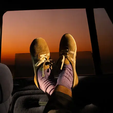 【国内4月2日発売予定】オニツカタイガー × ヴェルサーチェ タイチ サクラ 8色