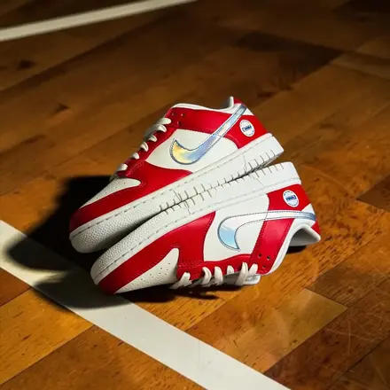 ナイキ ウィメンズ ダンク ロー "WNBA" アクション レッド/セイル/ライト フォト ブルー/マルチカラー(IR1970-604)