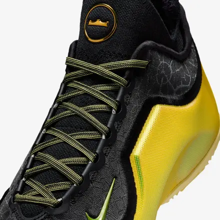 ナイキ レブロン 23 EP "ハート フィーリングズ ライト ヒストリー"(IB9558-002)