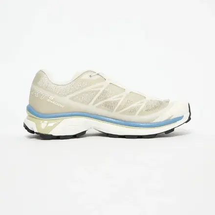 【国内4月2日発売予定】サロモン XT-6 シャドウ 2色