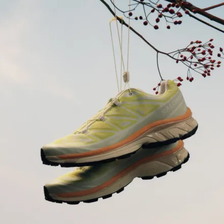 【国内4月15日発売予定】 サロモン XT-6 アルペン ブロッサム アイス フロー/サニー ライム/ライラック アッシュ(L47971300)