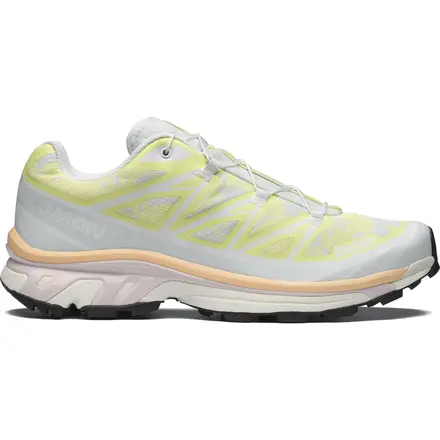 【国内4月15日発売予定】 サロモン XT-6 アルペン ブロッサム アイス フロー/サニー ライム/ライラック アッシュ(L47971300)