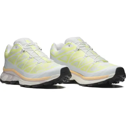 【国内4月15日発売予定】 サロモン XT-6 アルペン ブロッサム アイス フロー/サニー ライム/ライラック アッシュ(L47971300)