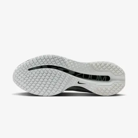 【国内4月13日発売開始】 ナイキ ペガサス プレミアム フォトンダスト/ブラック/メタリックシルバー(IR1229-001)