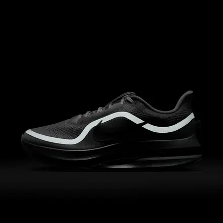 【国内4月13日発売開始】 ナイキ ペガサス プレミアム フォトンダスト/ブラック/メタリックシルバー(IR1229-001)