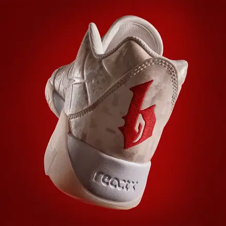 【非売品】 ナイキ レブロン ウィットネス 9 PE "ブロニー・ジェームズ デジ カモ"