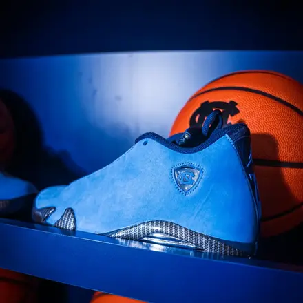  【非売品】 ナイキ エアジョーダン 14 PE "UNC ターヒールズ"