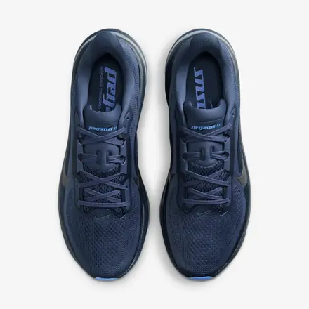 【海外4月9日発売開始】 ナイキ ペガサス 42 ディフューズド ブルー/オブシディアン/ロイヤル パルス/クール グレー(IB1873-401)