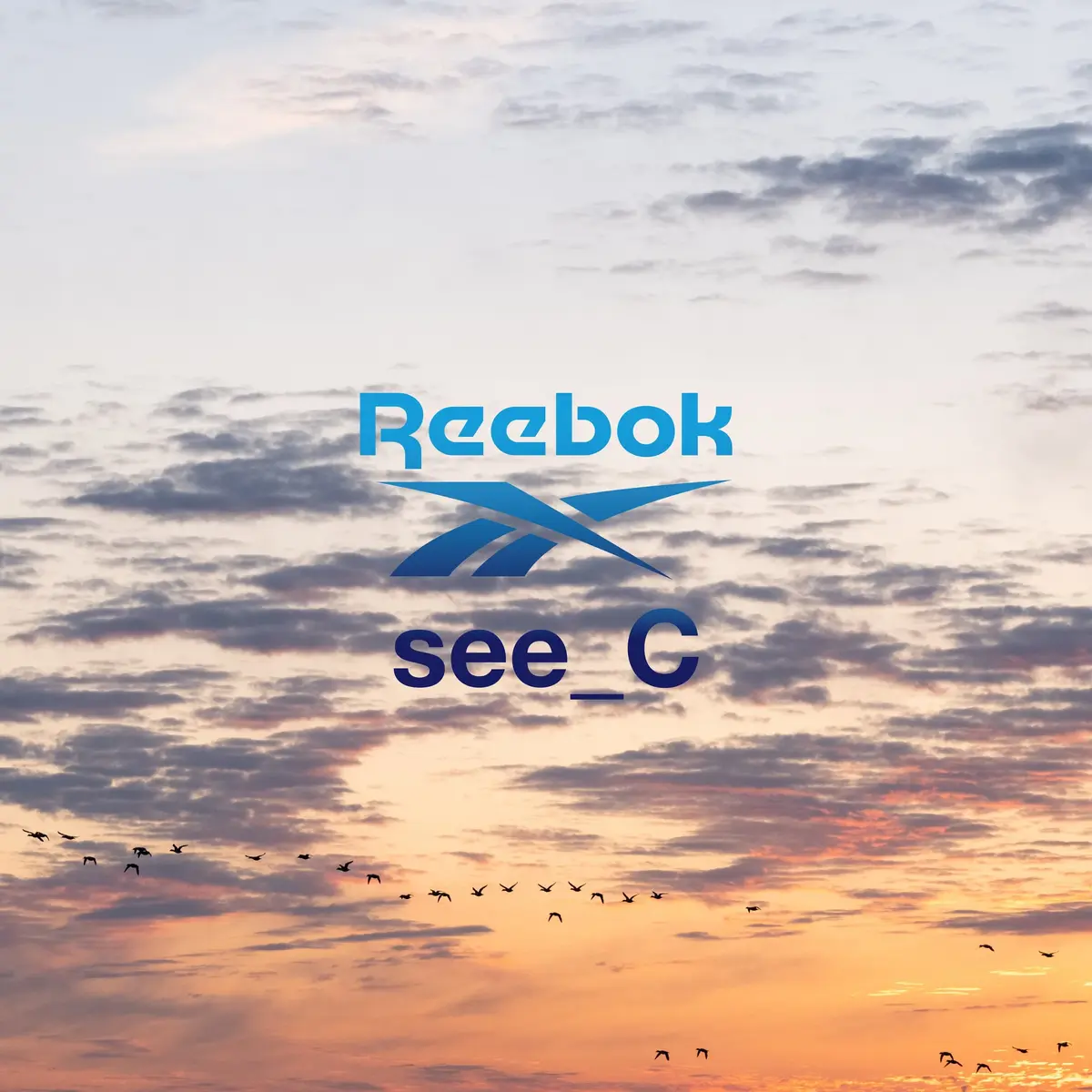 【国内4月29日先行/5月1日発売予定】 アイシー × シー シー × アーバンリサーチ × リーボック クラブ C ネイビー/ガム(SEYE-C-SEESEE-UR-CLUBC)