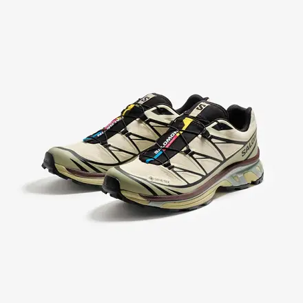 【国内4月29日発売予定】 サロモン XT-6 ゴアテックス アスパラガス グリーン/ティー/ビター チョコレート(L49202200)