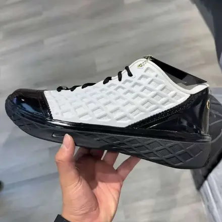  ナイキ コービー 3 ロー プロトロ "マンバチッタ"(IQ3916-100)