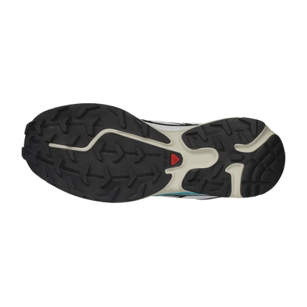 【国内5月8日発売予定】 サロモン XT-6 "サーモグラフィー パック" 2色