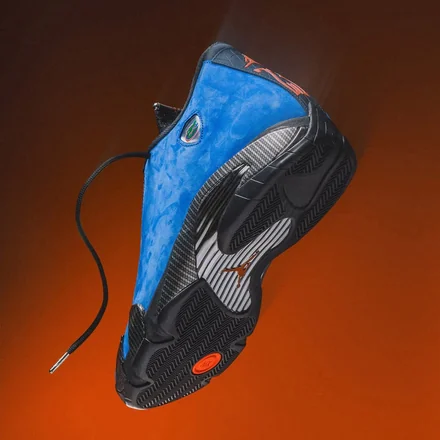 【非売品】 ナイキ エアジョーダン 14 PE "フロリダ ゲイターズ"