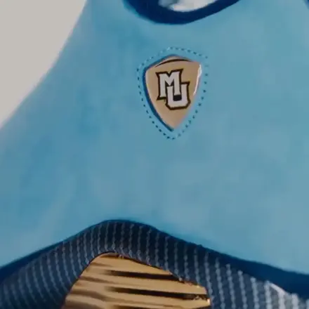 【非売品】 ナイキ エアジョーダン 14 PE "マーケット" ライトブルー/ネイビー/ゴールド