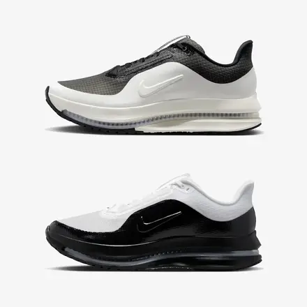 【国内6月5日発売予定】ナイキ ペガサス プレミアム 2色