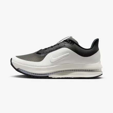 【国内6月5日発売予定】ナイキ ペガサス プレミアム 2色