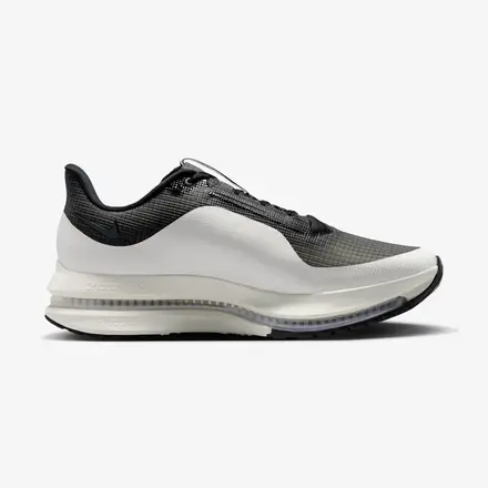 【国内6月5日発売予定】ナイキ ペガサス プレミアム 2色