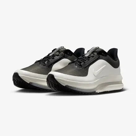 【国内6月5日発売予定】ナイキ ペガサス プレミアム 2色