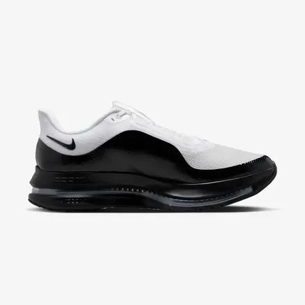 【国内6月5日発売予定】ナイキ ペガサス プレミアム 2色