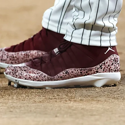 【非売品】村上宗隆 × ナイキ エアジョーダン 11 PE