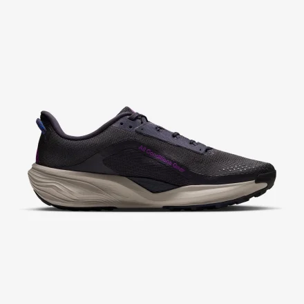 【国内11月1日発売予定】ナイキ ACG ペガサス トレイル グリッドアイアン/レーサーブルー/ビビッドパープル/クリームII(HV8116-007)
